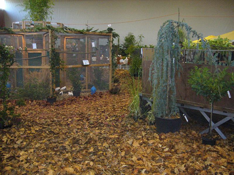 Ortsschau Langenberg 2008 137.jpg - Impressionen der Ortschau Langenberg 2008